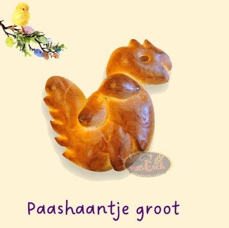 zacht broodhaantje (groot)