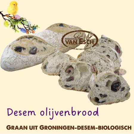 biologisch desem olijvenbrood