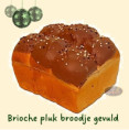 /album/assortiment-kerst-2025/05086-brioche-pluk-broodje-gevuld-jpg/